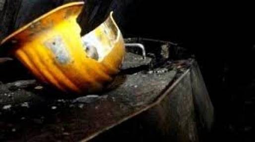Soma faciasının ikinci yılı