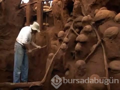 Karınca yuvasını kazdılar ve...

