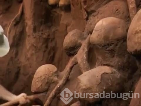 Karınca yuvasını kazdılar ve...
