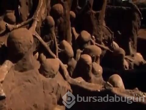 Karınca yuvasını kazdılar ve...
