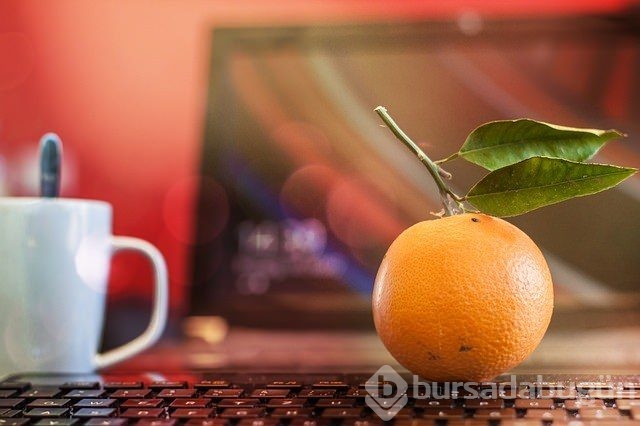 7 adımda düz bir karın