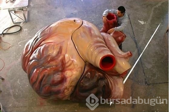 Çok şaşıracağınız 15 bilgi!