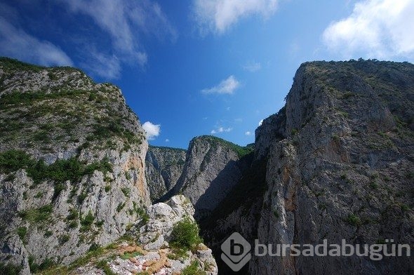 Hepsi birbirinden güzel! Biri de Bursa'da