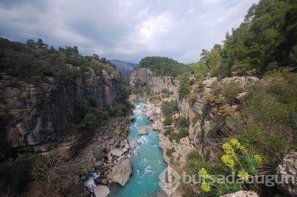 Hepsi birbirinden güzel! Biri de Bursa'da
