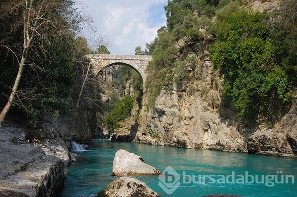 Hepsi birbirinden güzel! Biri de Bursa'da