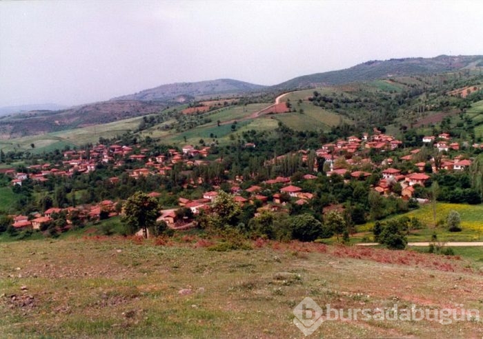 Hepsi birbirinden güzel! Biri de Bursa'da