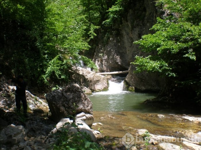 Hepsi birbirinden güzel! Biri de Bursa'da