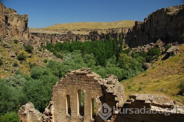 Hepsi birbirinden güzel! Biri de Bursa'da