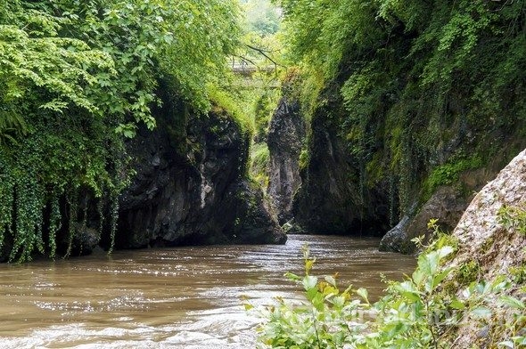 Hepsi birbirinden güzel! Biri de Bursa'da