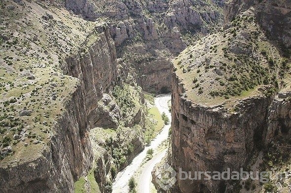 Hepsi birbirinden güzel! Biri de Bursa'da
