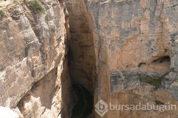 Hepsi birbirinden güzel! Biri de Bursa'da