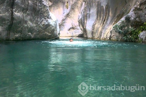 Hepsi birbirinden güzel! Biri de Bursa'da