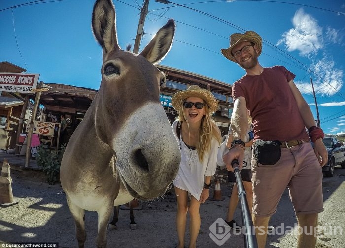Günde 8 dolara 40 ülke