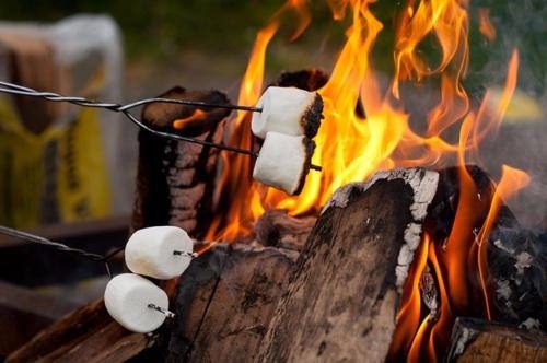 Marshmallow'la ilgili bunları biliyor musunuz?