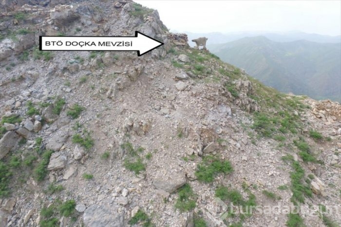 Dağlıca'ya hava harekatı