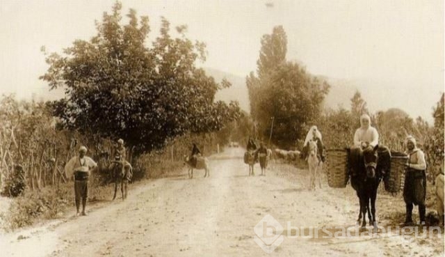Bir zamanlar Bursa