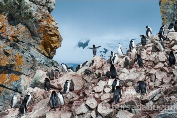 National Geographic'ten harika paylaşımlar