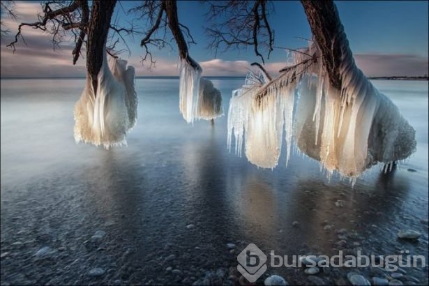 National Geographic'ten harika paylaşımlar