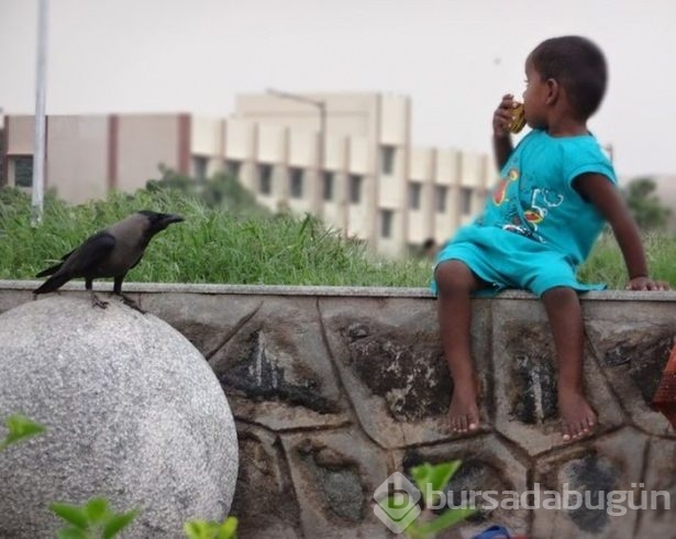 National Geographic'ten harika paylaşımlar