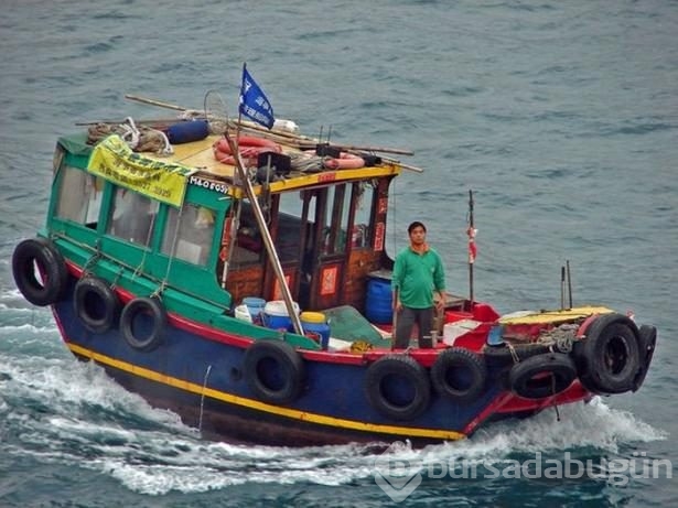 National Geographic'ten harika paylaşımlar