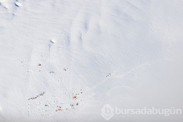 National Geographic'ten harika paylaşımlar