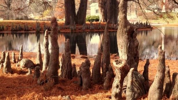 National Geographic'ten harika paylaşımlar