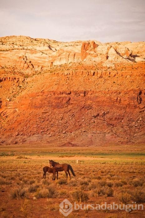 National Geographic'ten harika paylaşımlar