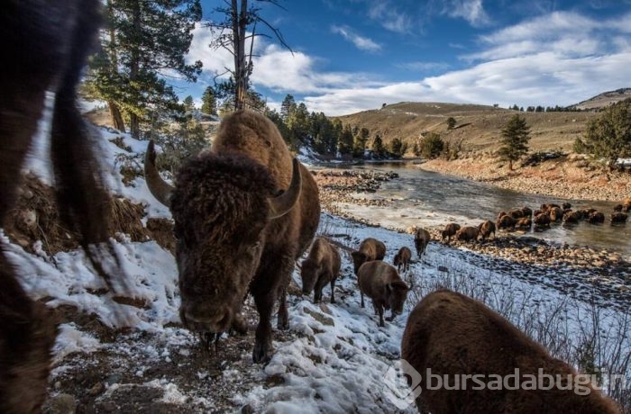 National Geographic'ten harika paylaşımlar