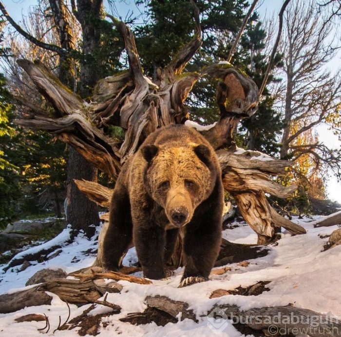 National Geographic'ten harika paylaşımlar