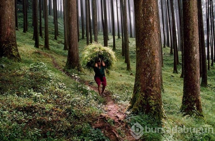 National Geographic'ten harika paylaşımlar