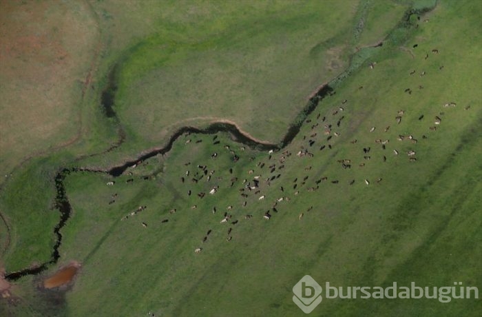 Muhteşem fotoğraflarla 'Gökyüzünden Hakkari'