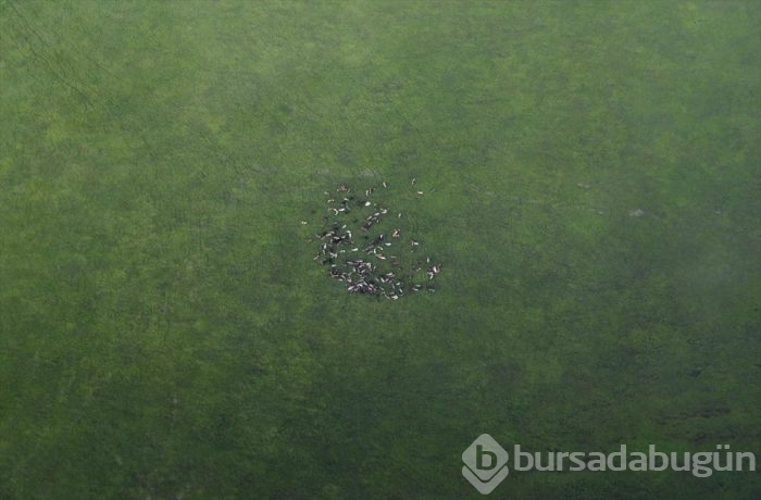 Muhteşem fotoğraflarla 'Gökyüzünden Hakkari'