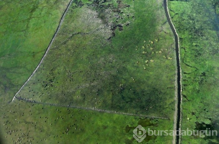 Muhteşem fotoğraflarla 'Gökyüzünden Hakkari'