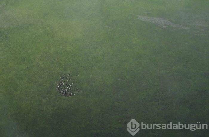 Muhteşem fotoğraflarla 'Gökyüzünden Hakkari'