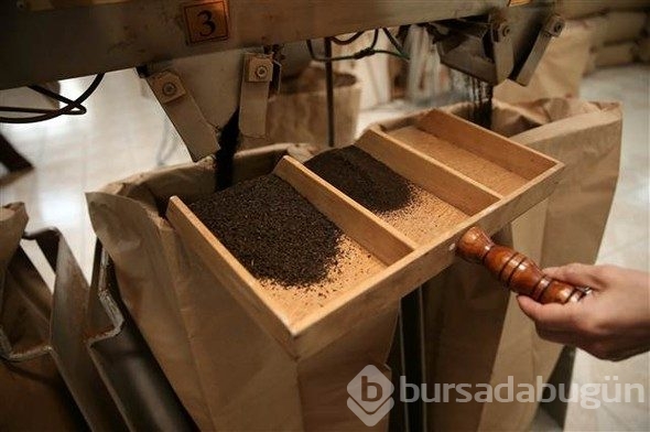 Çayın bahçeden demliğe "zorlu" yolculuğu