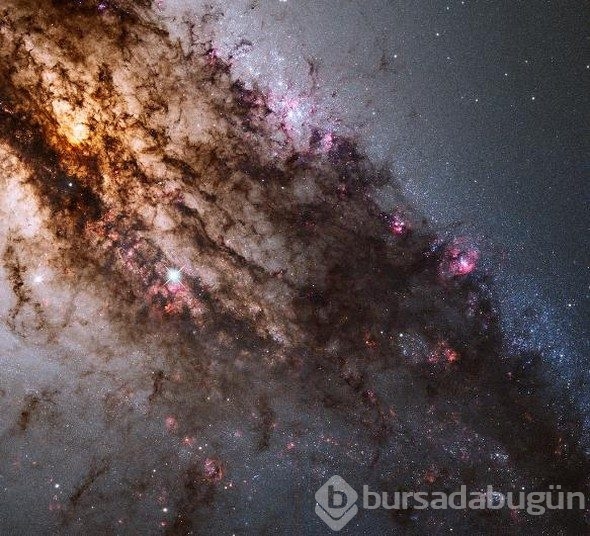 Dünya uzaydan gelen bu görüntüyü konuşuyor