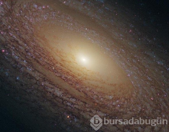 Dünya uzaydan gelen bu görüntüyü konuşuyor