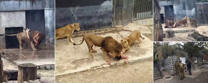 Aslan kafesinde intihar dehşeti