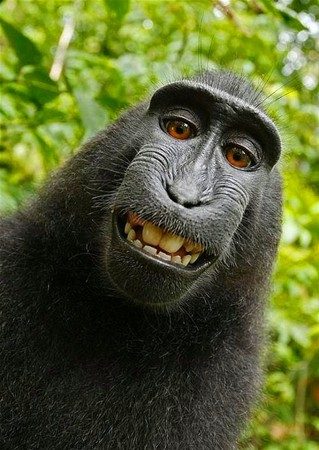 Unutulmaz selfieler