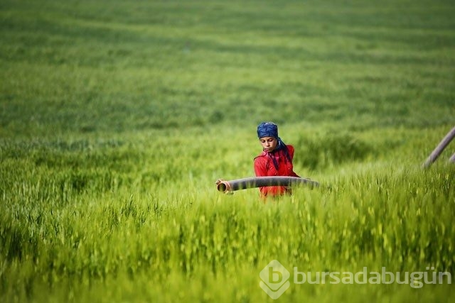 Harran'ı ziyaret etmek için 9 neden