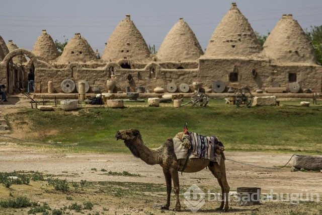 Harran'ı ziyaret etmek için 9 neden