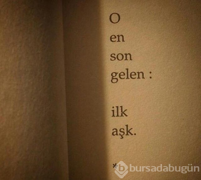 Şiir sokakta fırtınası