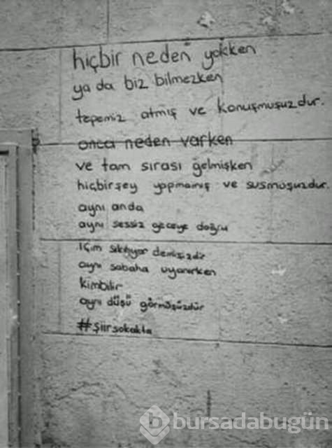 Şiir sokakta fırtınası