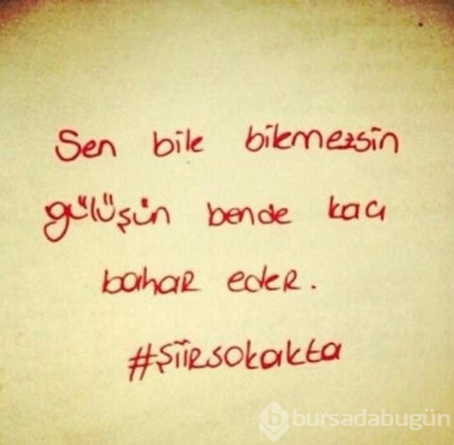 Şiir sokakta fırtınası
