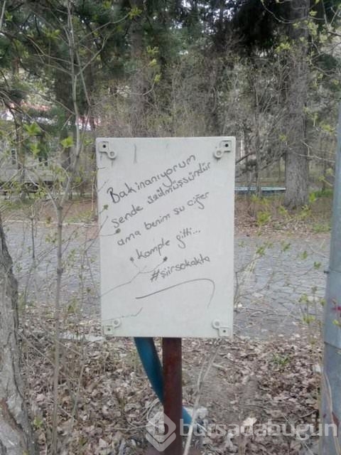 Şiir sokakta fırtınası