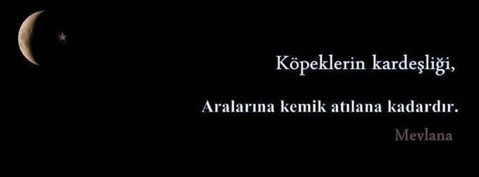 Resimli mevlana sözleri