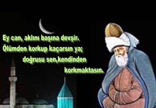 Resimli mevlana sözleri