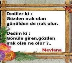 Resimli mevlana sözleri