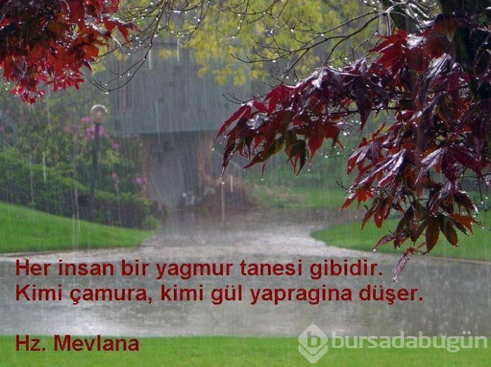 Resimli mevlana sözleri