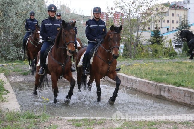 Atlı Jandarmalar geliyor!